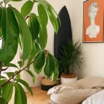 5 Great Ways to Decorate with Umbrella Plants