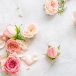 The Secret Language of Pink Flowers: What They Say