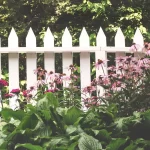 12 Shrub Options with Gorgeous Pink Flowers