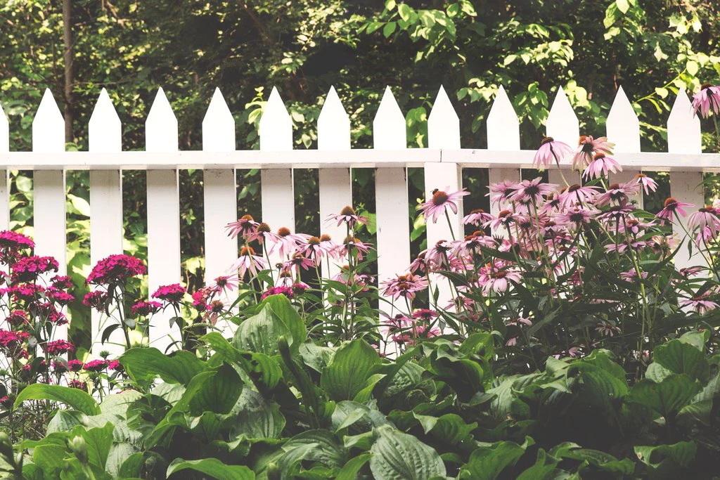 12 Shrub Options with Gorgeous Pink Flowers