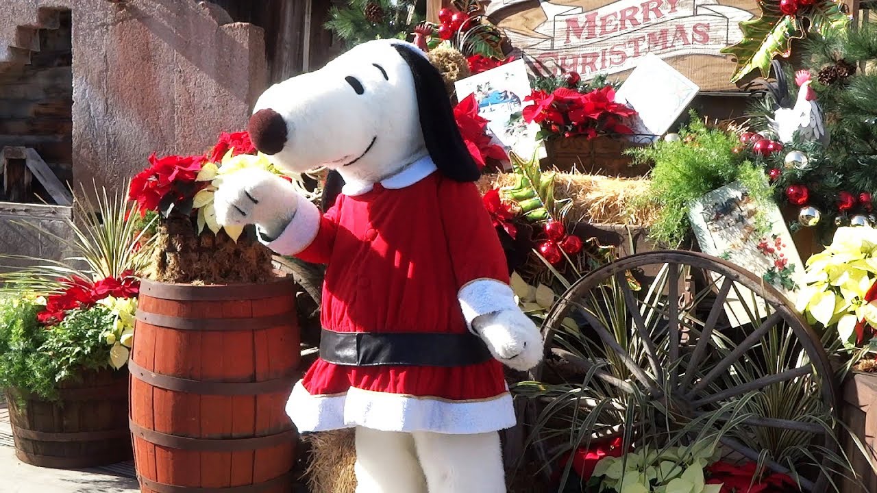 What are Snoopy’s top 7 Christmas traditions?