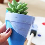 Snap! 15 Quick Ideas for Painting Your Plant Pots