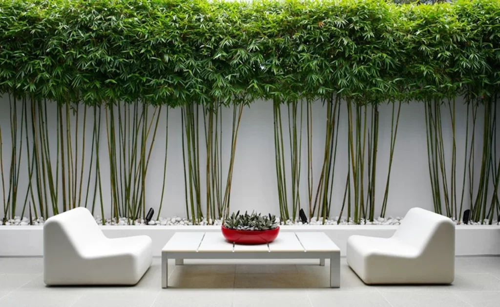 14 Creative Ways to Use Bamboo in Your Garden Design