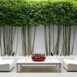 14 Creative Ways to Use Bamboo in Your Garden Design