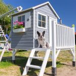 Why Choose Two-Story Pet Houses for Dogs