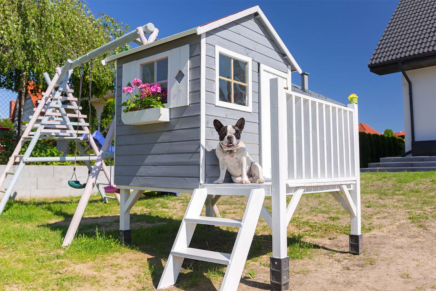 Why Choose Two-Story Pet Houses for Dogs