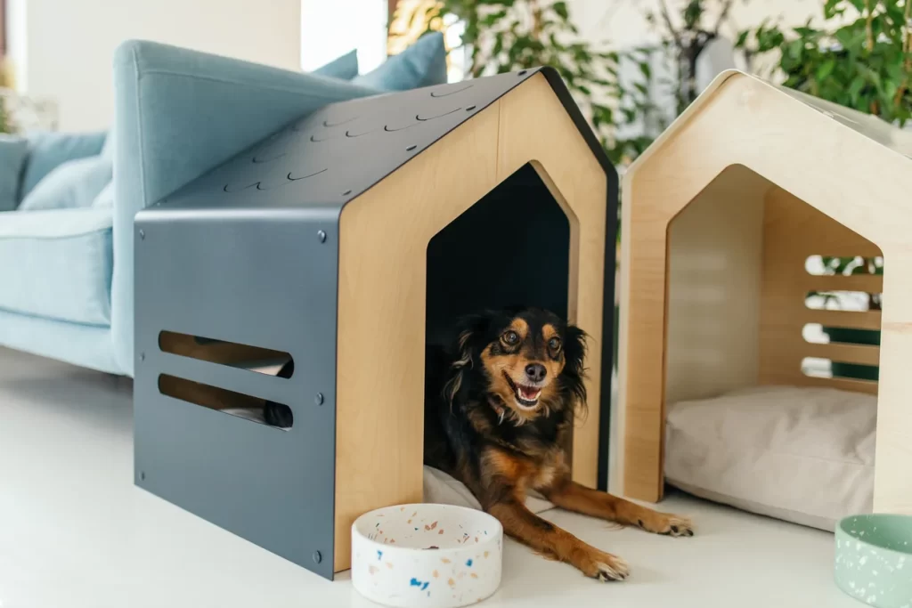 How to Keep Dog Houses Cozy During Cold Winter Months