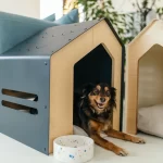 How to Keep Dog Houses Cozy During Cold Winter Months