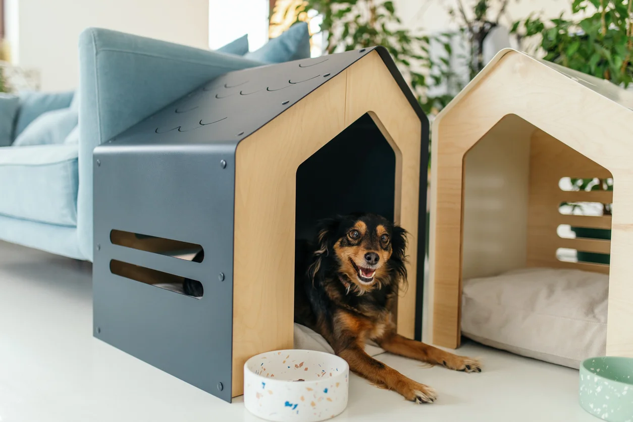 How to Keep Dog Houses Cozy During Cold Winter Months缩略图
