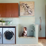 9 Small Laundry Room Ideas for Pet Owners缩略图