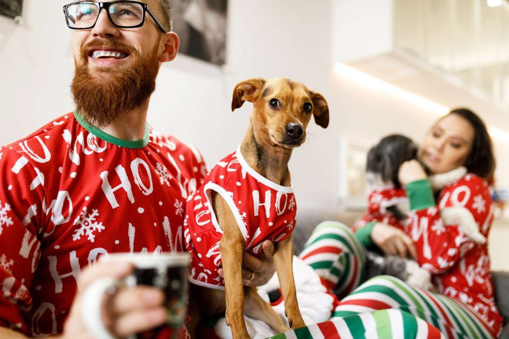 Some Thoughtful Stocking Stuffers for Pet Lovers