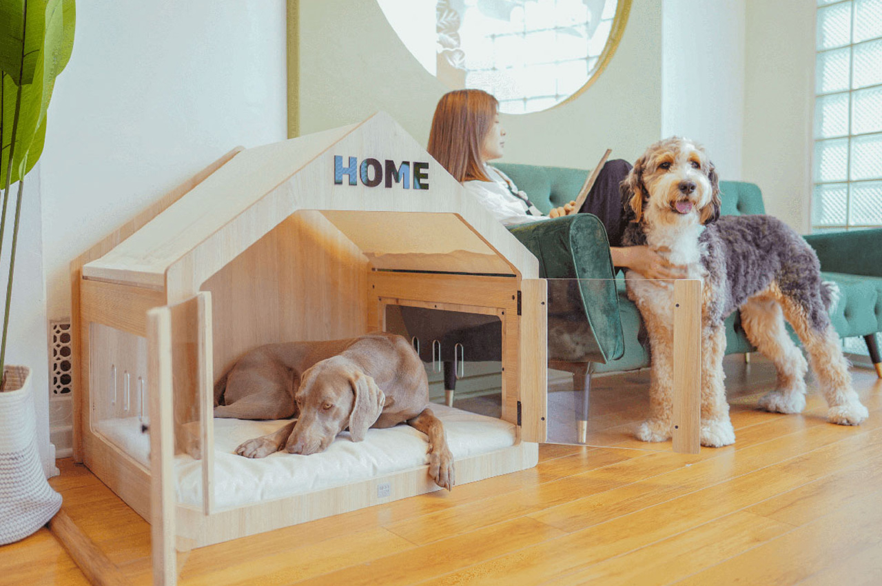 Dog House vs. Crate: Which is Right for Your Dog?