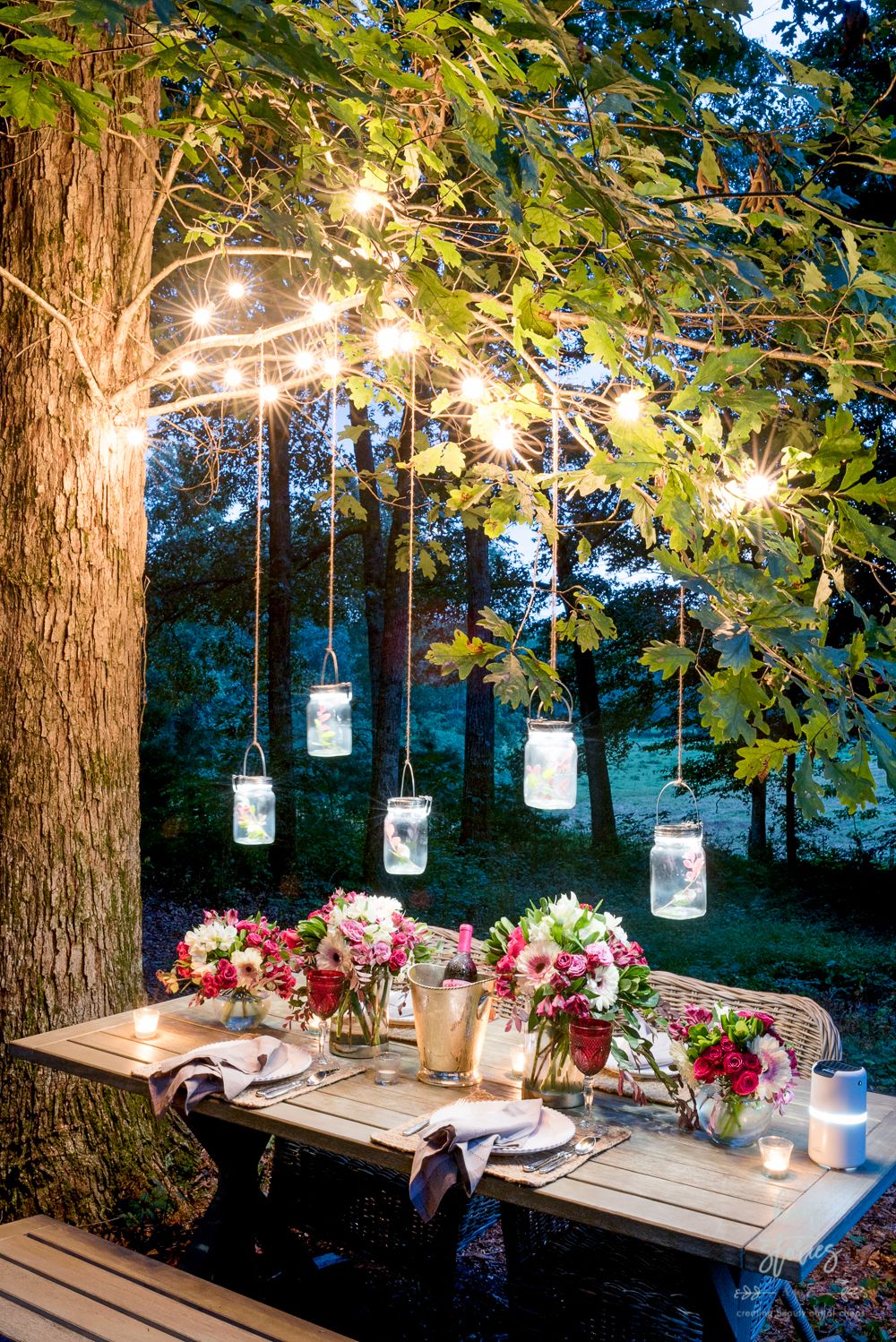 Illuminate Your Outdoor Space: Tips for Stringing Lights on Trees插图4