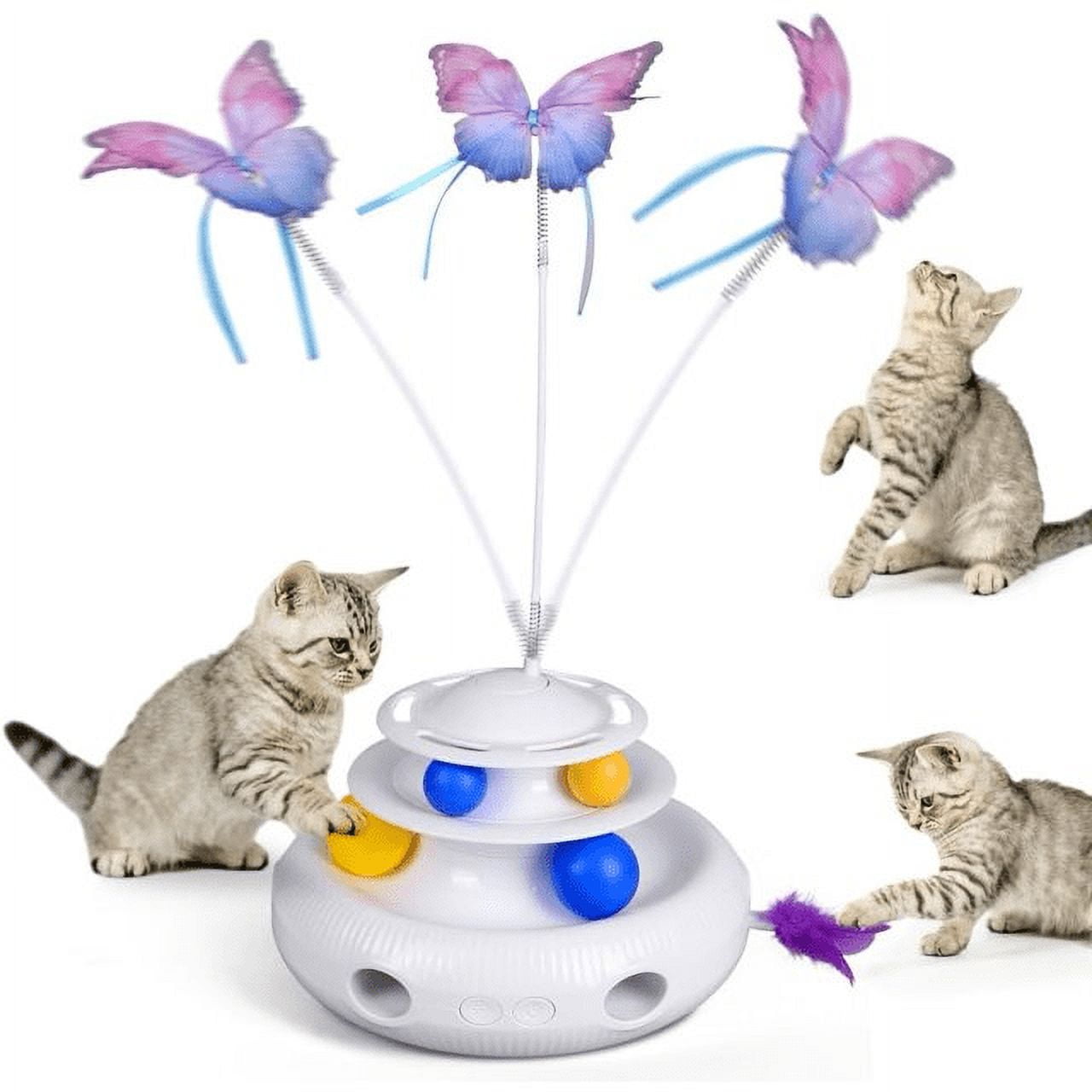Playtime: Interactive Cat Toys Illuminated with String Lights插图4