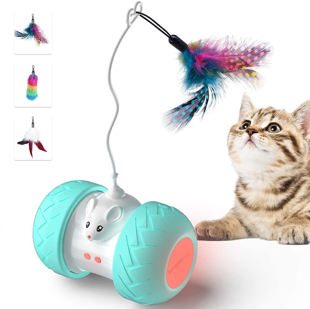 Playtime: Interactive Cat Toys Illuminated with String Lights