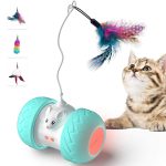 Playtime: Interactive Cat Toys Illuminated with String Lights缩略图
