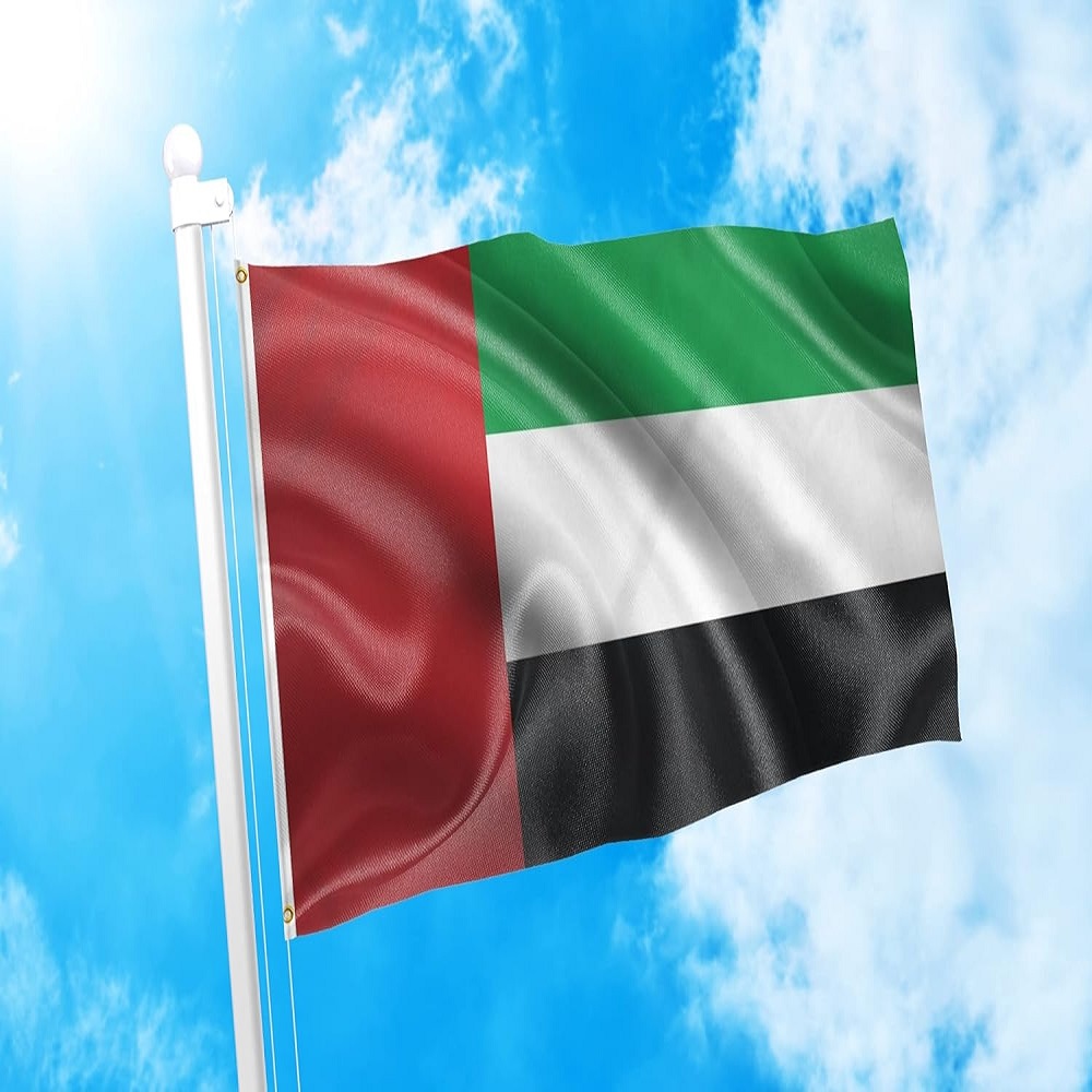 Dubai flag