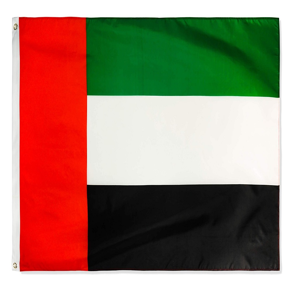 Dubai flag