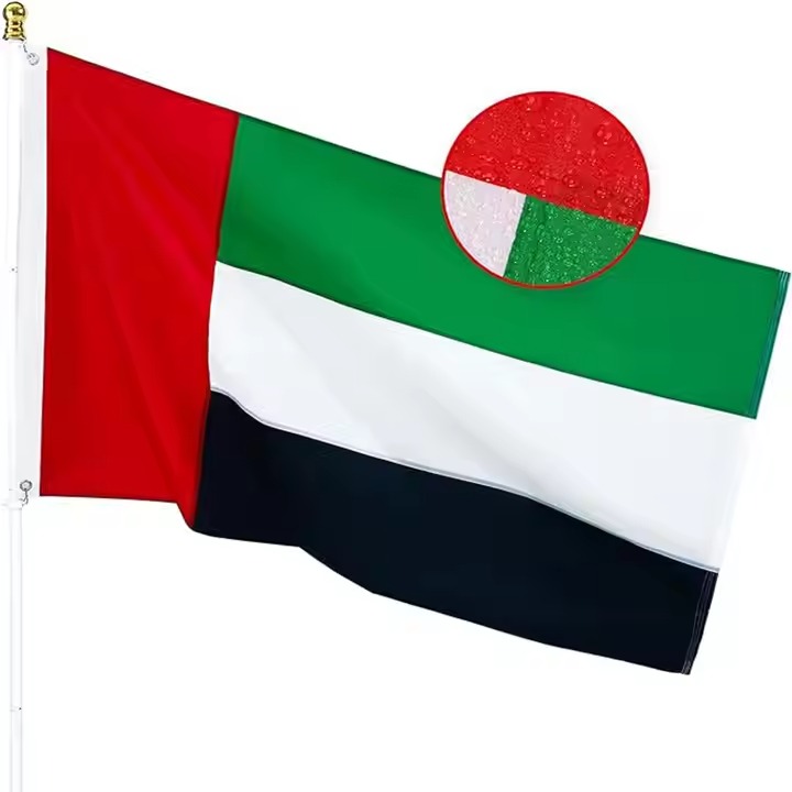 Dubai flag