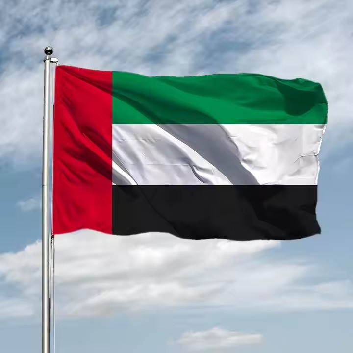 Dubai flag